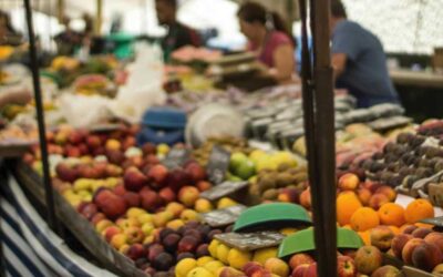 Kemasan Mika untuk Produk UMKM