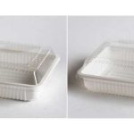 Kemasan Mika Plastik Modern
